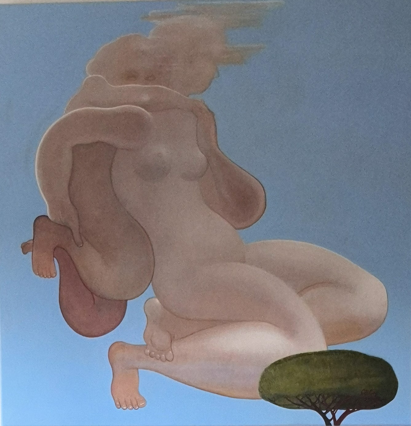 GRAND NUAGE PAREDOLIA I - Linette Cajou